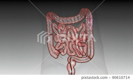 Eamination of the large intestine under amonitor with a fiberoptic camera by entering from the anus Eamination of the large intestine under amonitor with a fiberoptic camera by entering from the anus 90610714