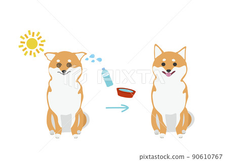 Before-after illustration of Shiba Inu looking around in the sun Before-after illustration of Shiba Inu looking around in the sun 90610767