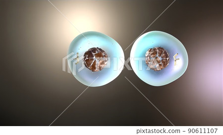 Cell division or cloning cells. Stem cells dividing under the microscope. Cell division or cloning cells. Stem cells dividing under the microscope. 90611107