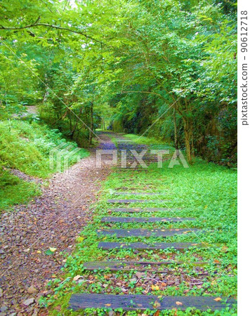 Abandoned line 24 of the old Fukuchiyama line 90612718