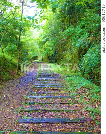 舊福知山線25號線廢棄林中 90612719