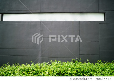 Gray wall of building and green plants Gray wall of building and green plants 90613372