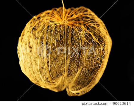 Watermark Hozuki 1 90613614