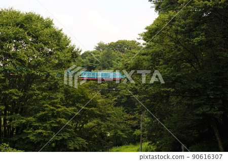 冒險橋 宇都宮塔 八幡山公園 展望台 八幡山公園 展望台 無線電塔 八幡山公園 90616307