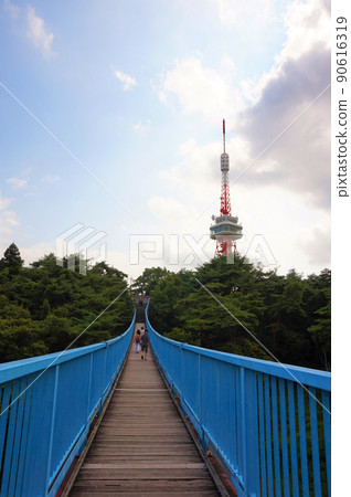 冒險橋 宇都宮塔 八幡山公園 展望台 八幡山公園 展望台 無線電塔 八幡山公園 90616319