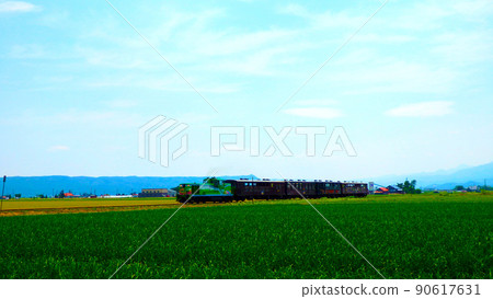 在中富良野町運行的富良野線 90617631