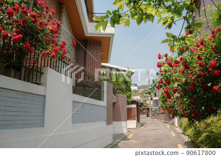 Yeonhui-dong street with red rose flowers in Seoul, Korea 90617800