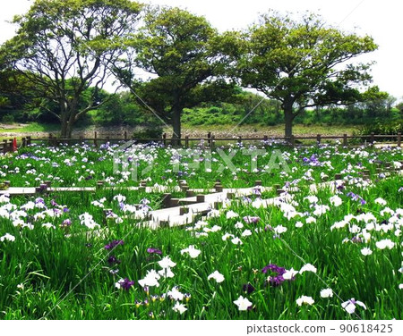 Joban Park / Iris Garden 90618425