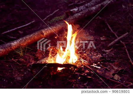 Fire in the forest. Bright flame 90619801