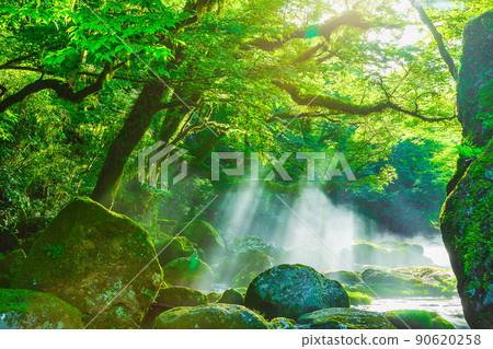Kikuchi Gorge (Kikuchi City, Kumamoto Prefecture) 90620258
