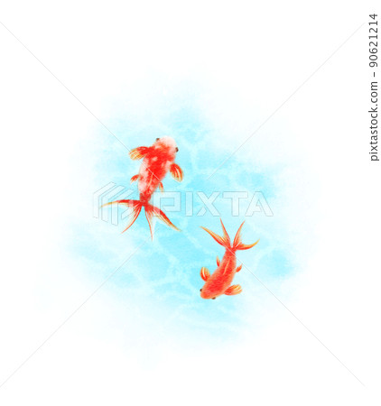 金魚紅白蝴蝶圖 90621214