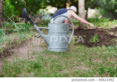 Metal watering can in eco-farm against the background of farmer planting tomato seedlings in black soil in open ground. Garden tools in horticulture Metal watering can in eco-farm against the background of farmer planting tomato seedlings in black soil in open ground. Garden tools in horticulture 90621992