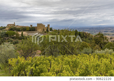 Tuscany's most famous vineyards near town Montalcino in Italy Tuscany's most famous vineyards near town Montalcino in Italy 90622220