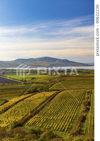 Vineyards under Palava, Southern Moravia, Czech Republic Vineyards under Palava, Southern Moravia, Czech Republic 90622230