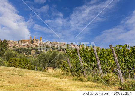 Tuscany's most famous vineyards near town Montalcino in Italy Tuscany's most famous vineyards near town Montalcino in Italy 90622294