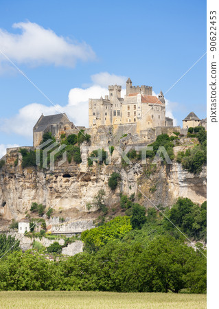Chateau de Beynac (Beynac-et-Cazenac) France 90622453