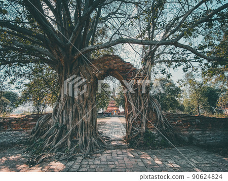 Wat Phra Ngam ruin temple in Ayutthaya, Thailand Wat Phra Ngam ruin temple in Ayutthaya, Thailand 90624824