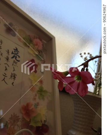 一張粉紅色花朵在盤子旁邊綻放的照片,盤子裡有五顏六色的花朵和字母 一張粉紅色花朵在盤子旁邊綻放的照片,盤子裡有五顏六色的花朵和字母 90624967