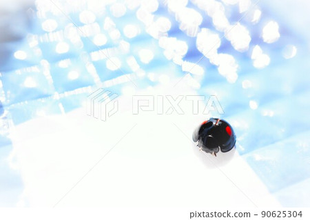 亮藍色休閒床單上的黑甲蟲 90625304
