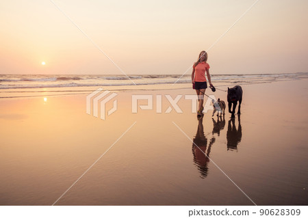 Happy woman with French Bulldog and Cone Corso walking and playing on india goa beach at sunset 90628309