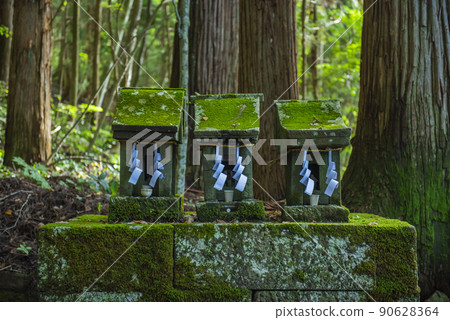 Small shrines lined up in the precincts of Togakushi Shrine Hokkosha 90628364