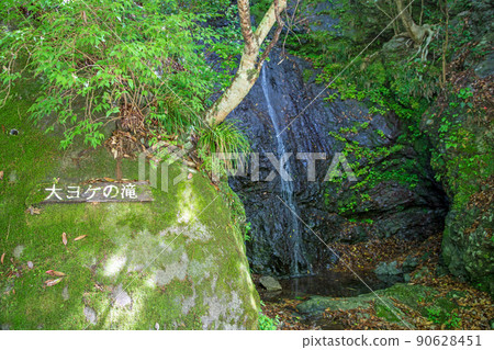 Landscape of the large landscape, Arima River, Arima Valley, spring, fresh green 90628451