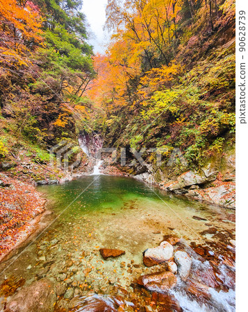 Ojiragawa Canyon (Autumn): Sengabuchi Ojiragawa Canyon (Autumn): Sengabuchi 90628739