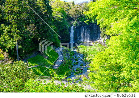 Shiraito Falls (Fujinomiya City) 90629531