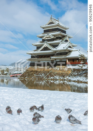 白雪覆蓋的松本城【焦點定位鴿】 90629946