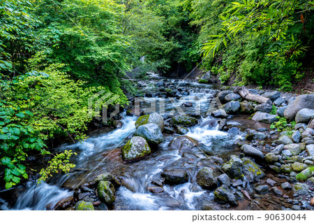 “山梨縣”清裡/川俁川清流 “山梨縣”清裡/川俁川清流 90630044