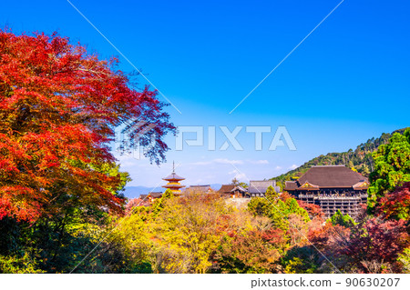 Kiyomizudera秋葉 Kiyomizudera秋葉 90630207