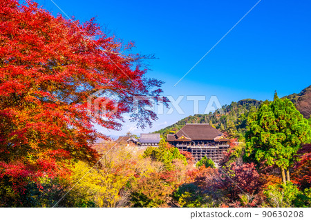 Kiyomizudera秋葉 90630208
