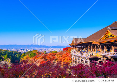 清水寺舞台和秋葉 90630676