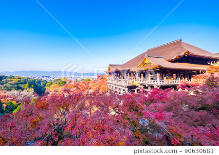 Kiyomizu Temple stage and autumn leaves 90630681