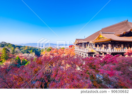 Kiyomizu Temple stage and autumn leaves Kiyomizu Temple stage and autumn leaves 90630682