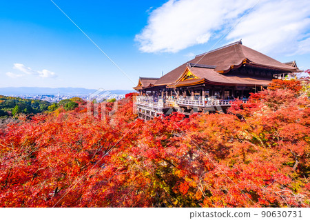 Kiyomizu Temple stage and autumn leaves 90630731