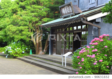府中市地方森林博物館繡球花 90631832