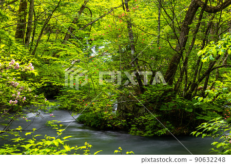 【青森縣_奧入瀨川】初夏的九十九島 90632248