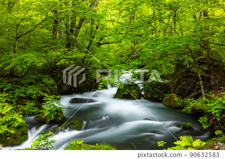 【青森縣_奧入瀨溪流】動感風景：阿修羅之流 90632583