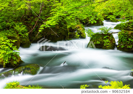 【青森縣_奧入瀨溪流】動感風景：阿修羅之流 90632584
