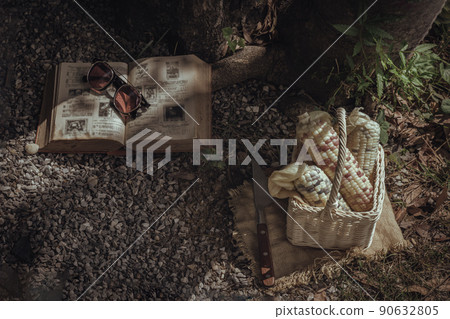 Fresh waxy corn or Sweet glutinous corn in Wicker basket with book and sunglasses under the tree. Fresh waxy corn or Sweet glutinous corn in Wicker basket with book and sunglasses under the tree. 90632805