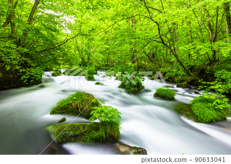[Aomori Prefecture_Oirase Gorge] Refreshing Ishigedo in early summer 90633041