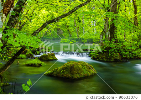 [Aomori Prefecture_Oirase Gorge] Refreshing Ishigedo in early summer 90633076