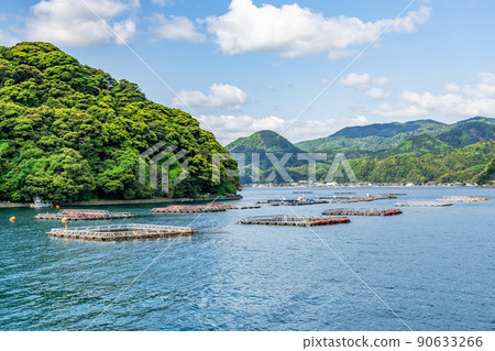 京都府伊根町伊根灣漂浮的水產養殖網箱 京都府伊根町伊根灣漂浮的水產養殖網箱 90633266