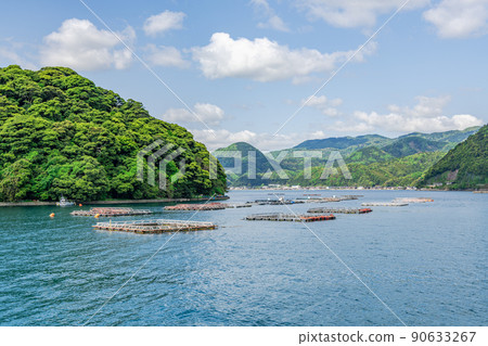 京都府伊根町伊根灣漂浮的水產養殖網箱 京都府伊根町伊根灣漂浮的水產養殖網箱 90633267