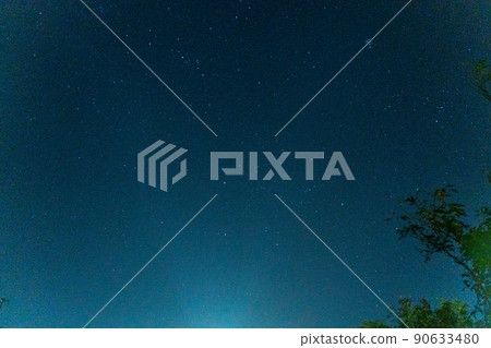 starry skies 90633480