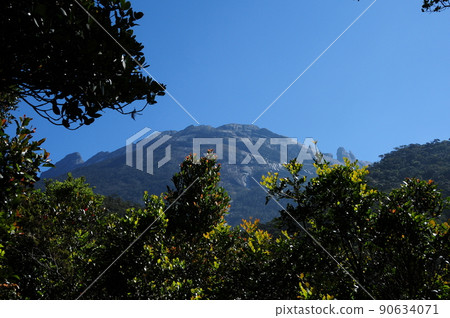 馬來西亞婆羅洲京那巴魯山 90634071