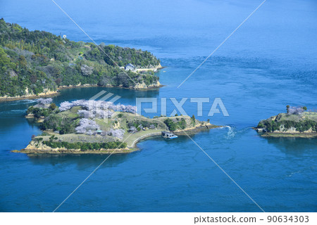 櫻花盛開的野島 櫻花盛開的野島 90634303