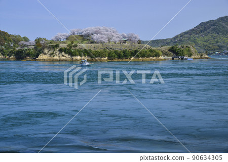 野島城遺址上盛開的櫻花和渡海的小船 90634305