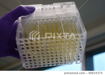 血漿樣品 血漿樣品 90634374